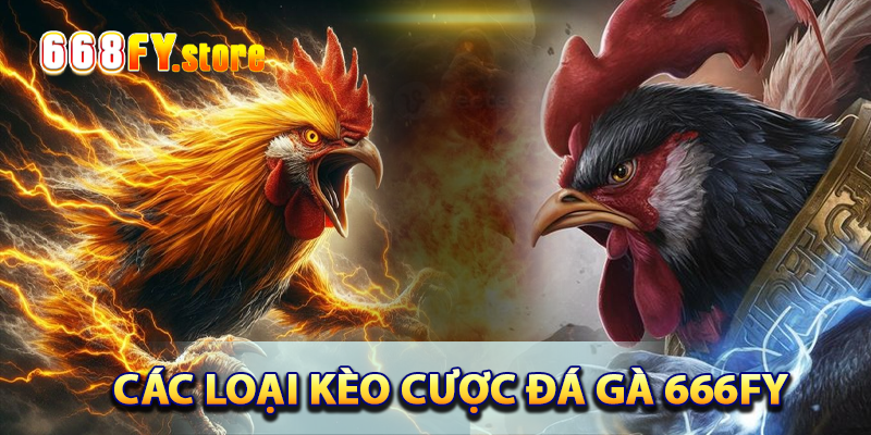 Các loại kèo cược đá gà 668FY